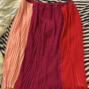 Multicolor Pleated Skirt